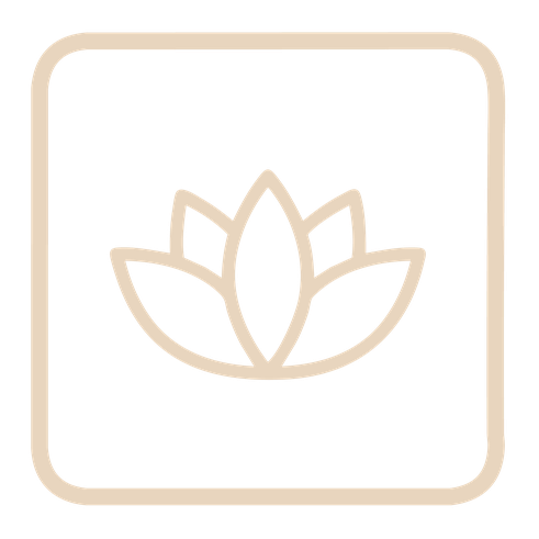 Nova Spa